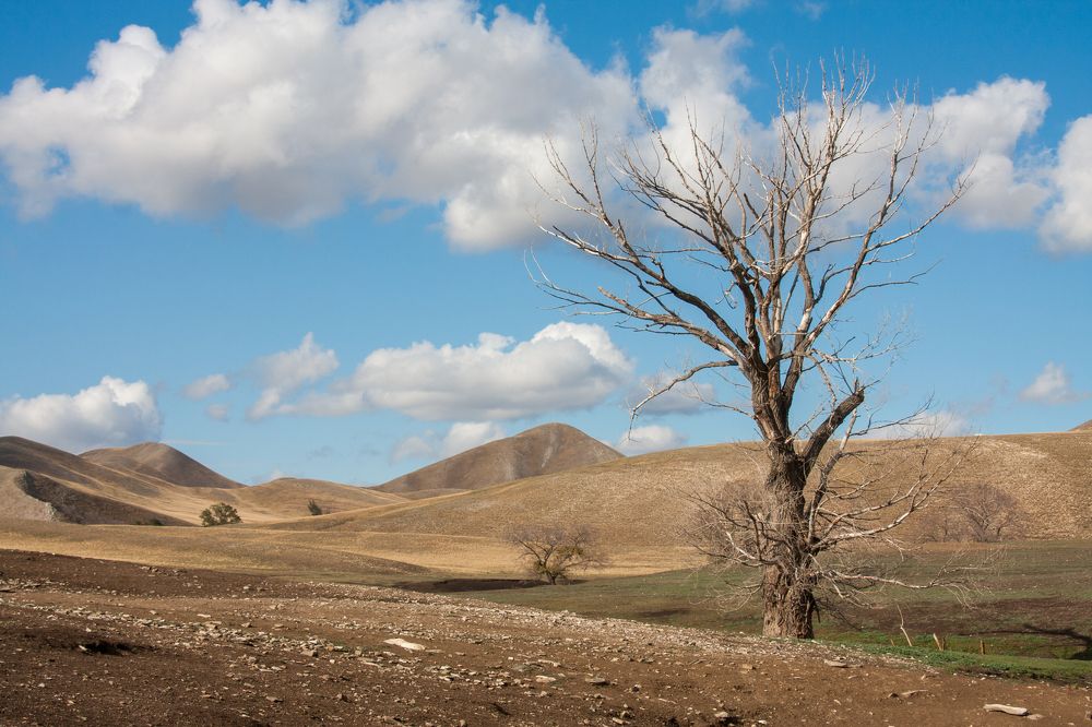Photograph by Евгений Москвин