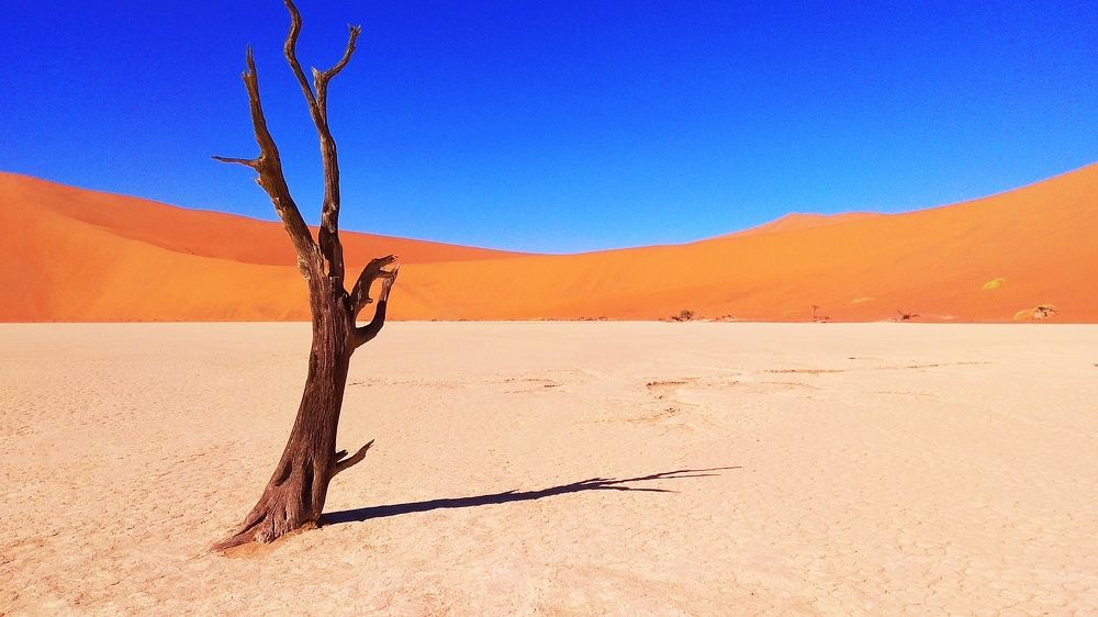 Photograph by Максимушкина Ольга