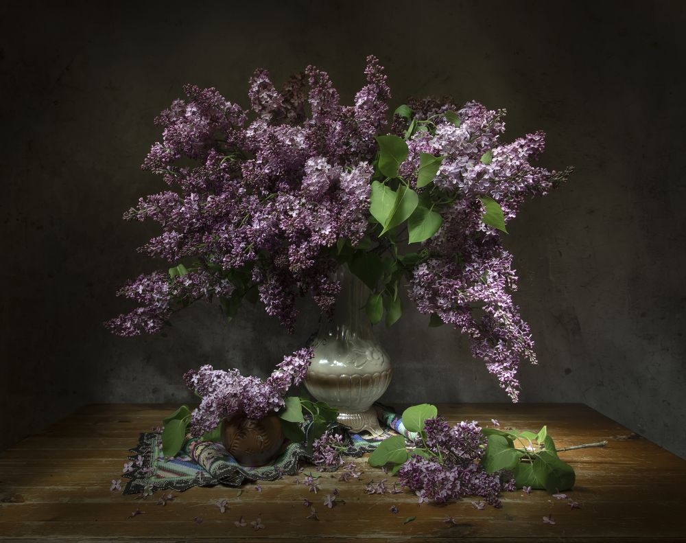 Photograph by Tatyana Fedenkova