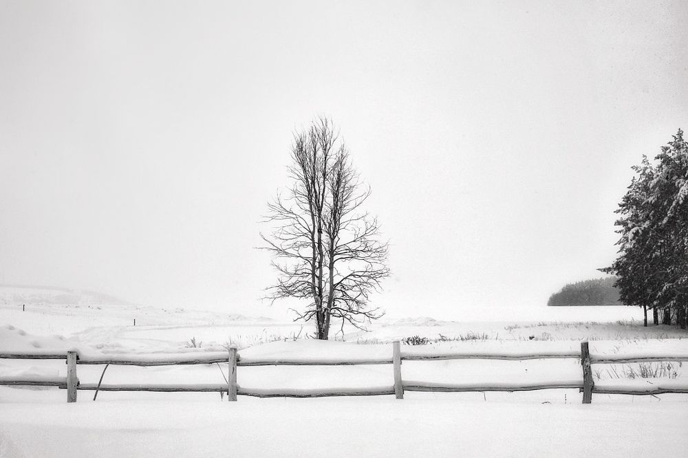 Photograph by Кира Бахвалова