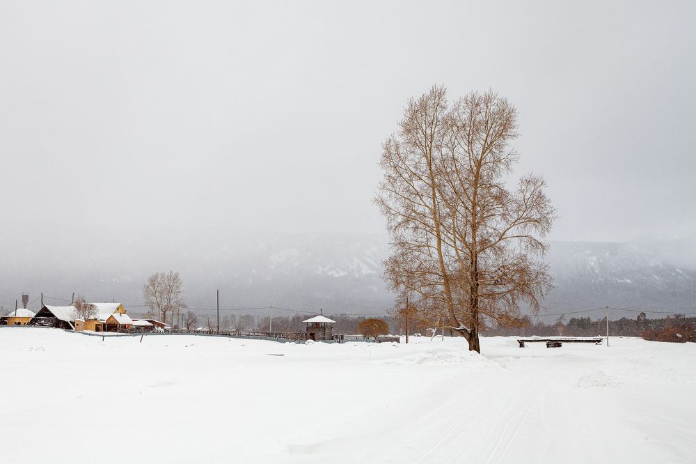 Photograph by Евгений Москвин