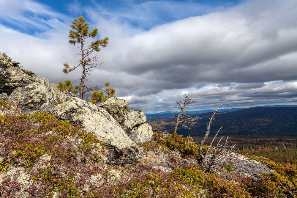 Photograph by Евгений Москвин