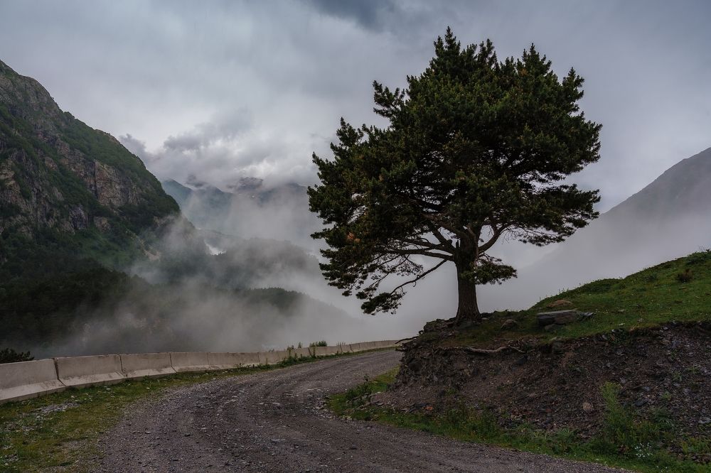 Photograph by Александр Шершнев