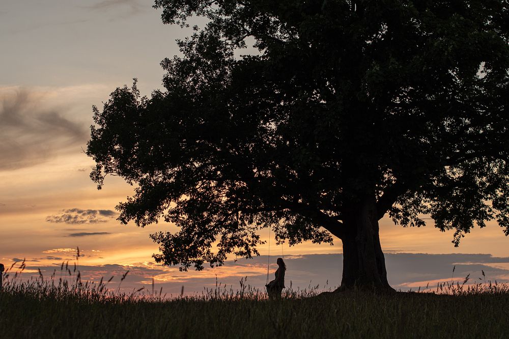Фотография автора Светлана Дроголюбова