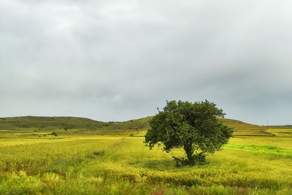 Фотография автора Minja Jovetic