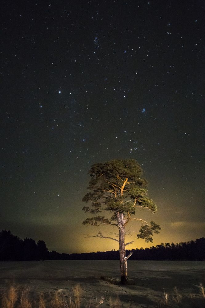 Фотография автора Логвинович Андрей