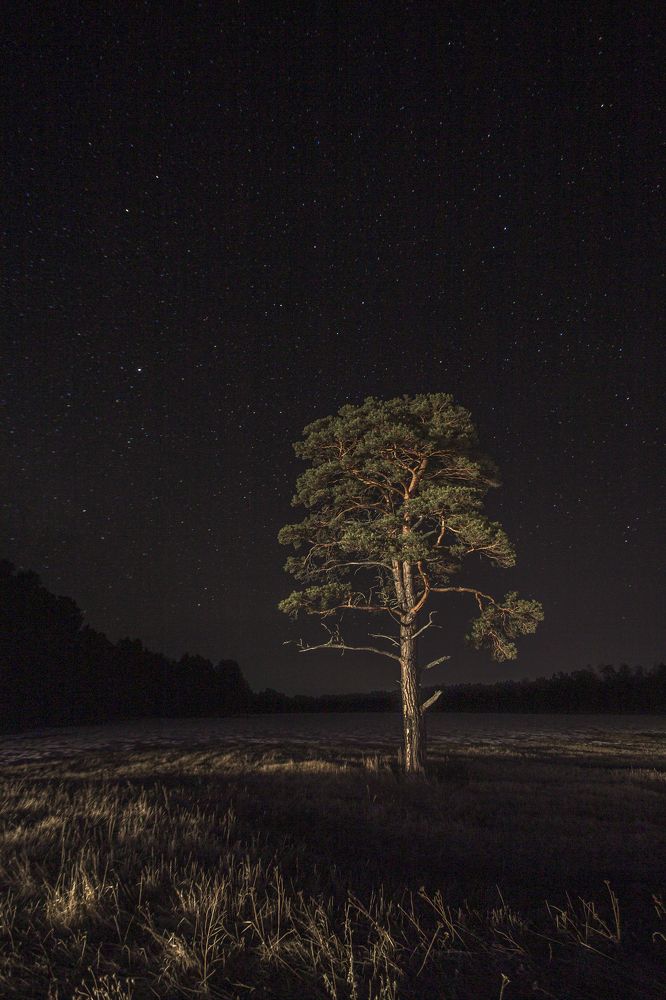 Фотография автора Логвинович Андрей