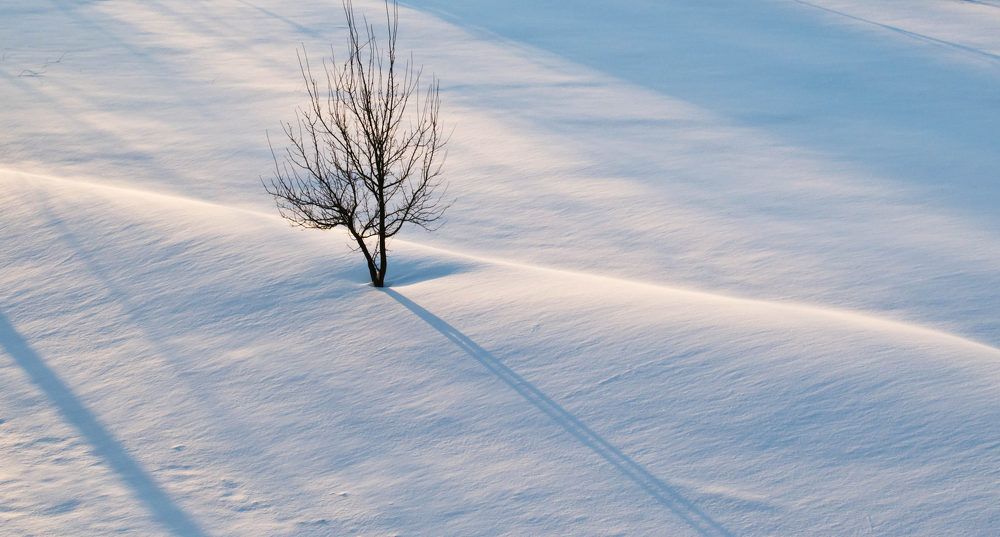 Фотография автора Юлия Кранина