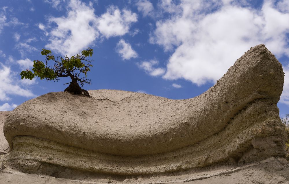 Photograph by Ирина Сатырь