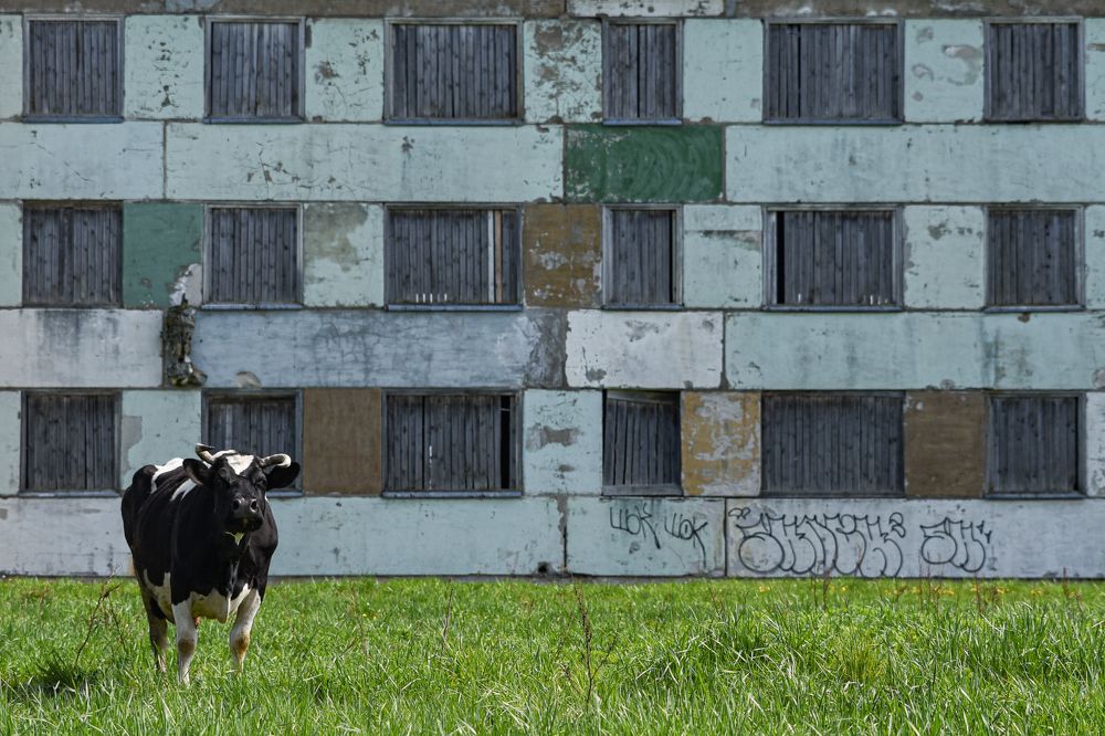 Photograph by Ирина Сатырь