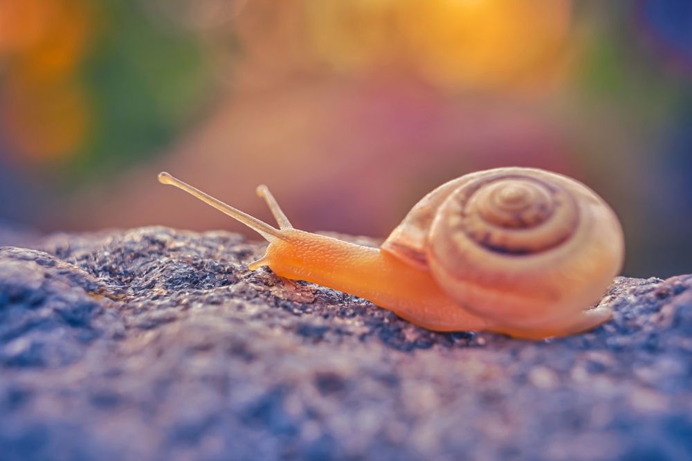 Photograph by Yulya Romanova