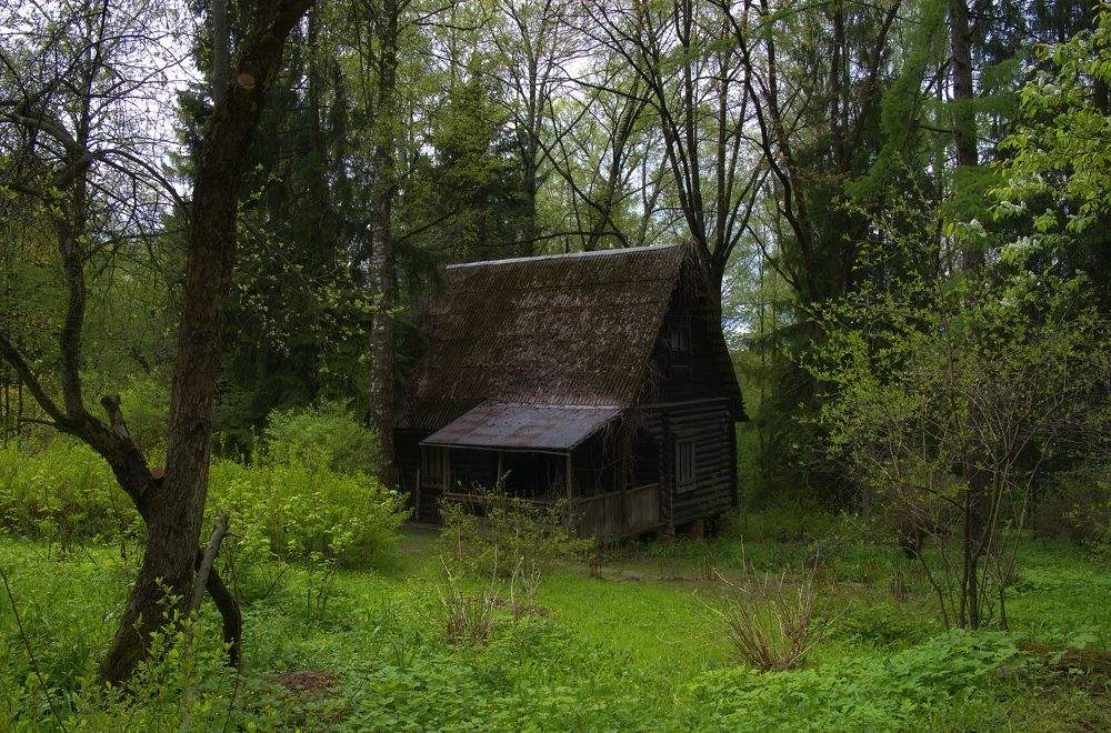 Photograph by Михаил Косолапов