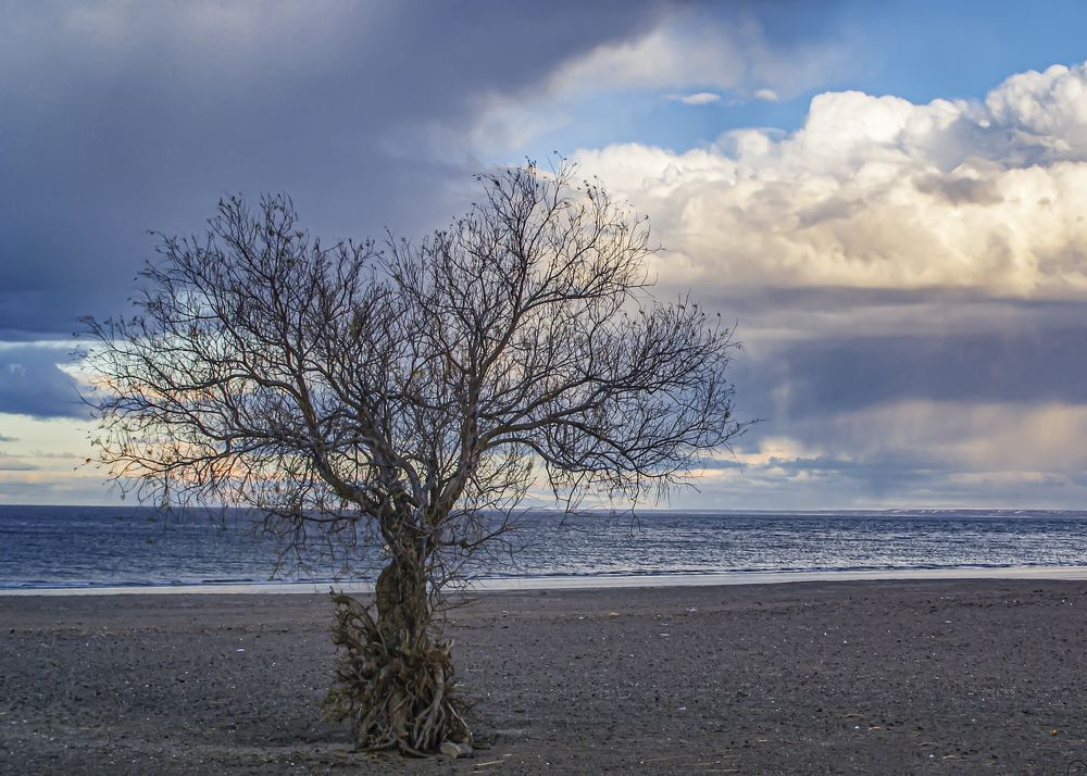 Photograph by Sandra Arena