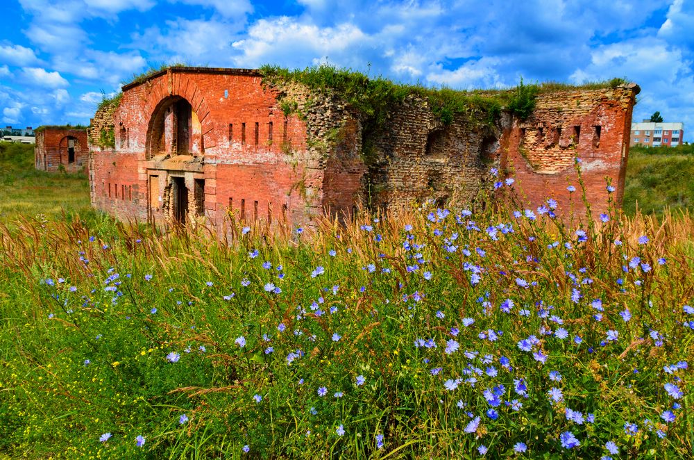Лето в Беларуси.