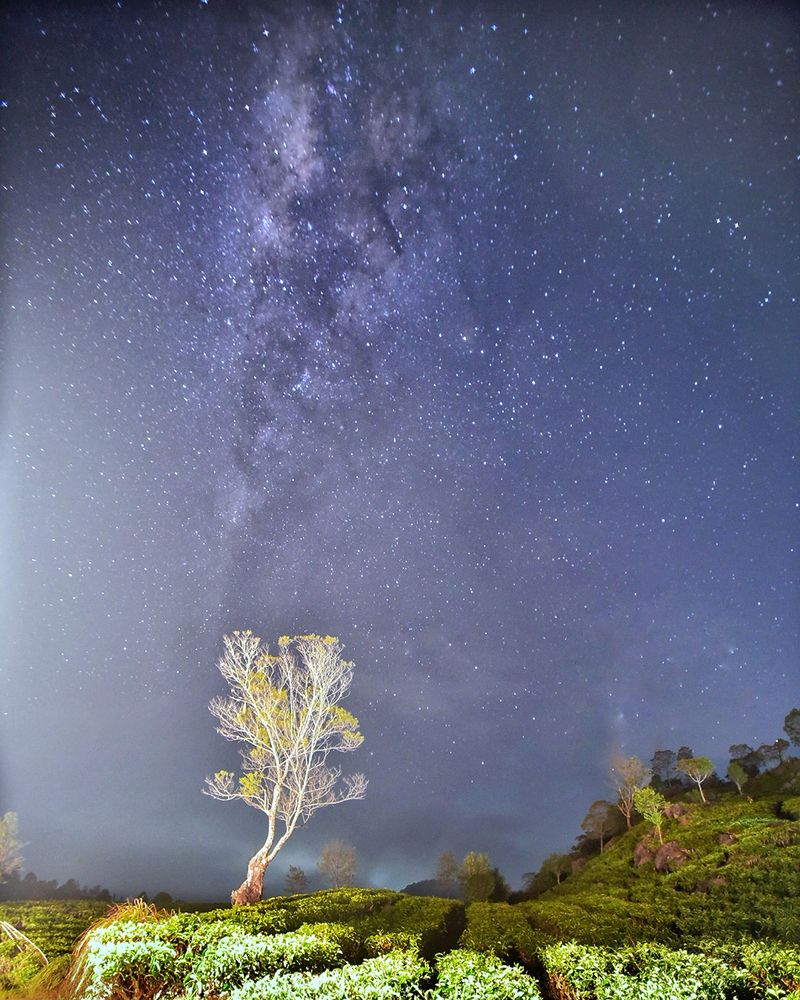 Photograph by Paulus Saputra