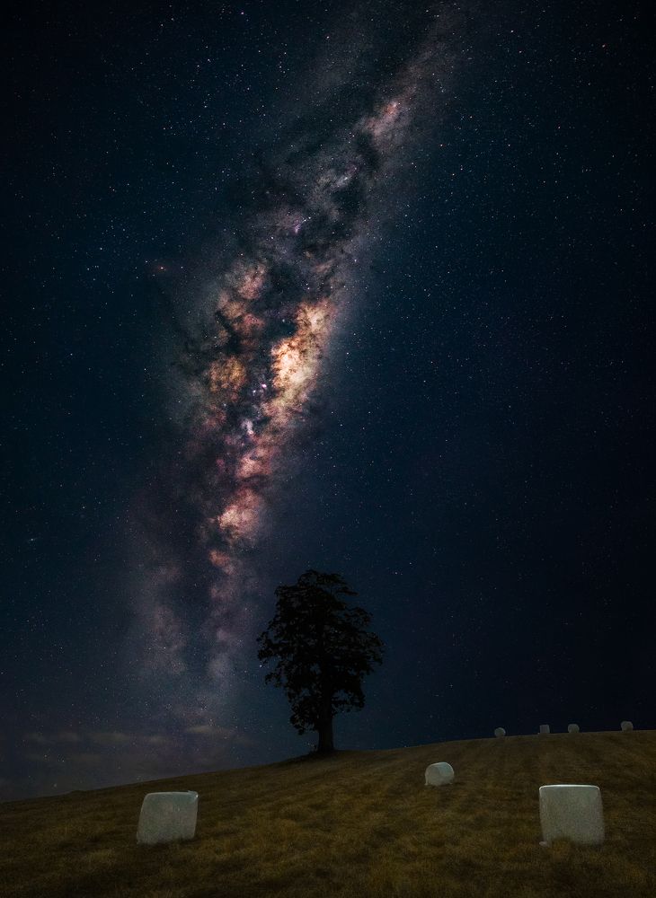 Photograph by Tomas Andonie