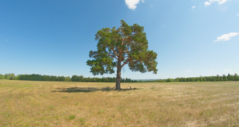 Photograph by Василий Быстрицкий