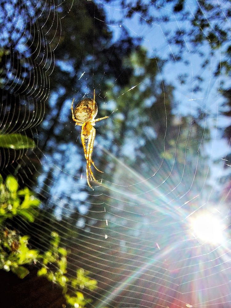 Photograph by Ксения Цветкова