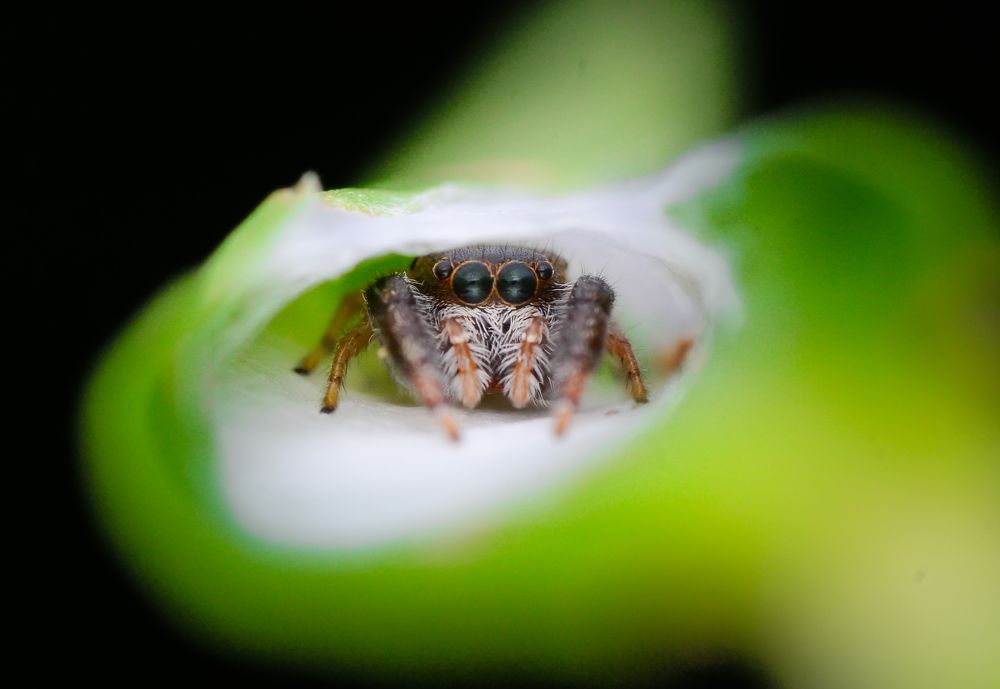 Photograph by Kasun Wickramasinghe