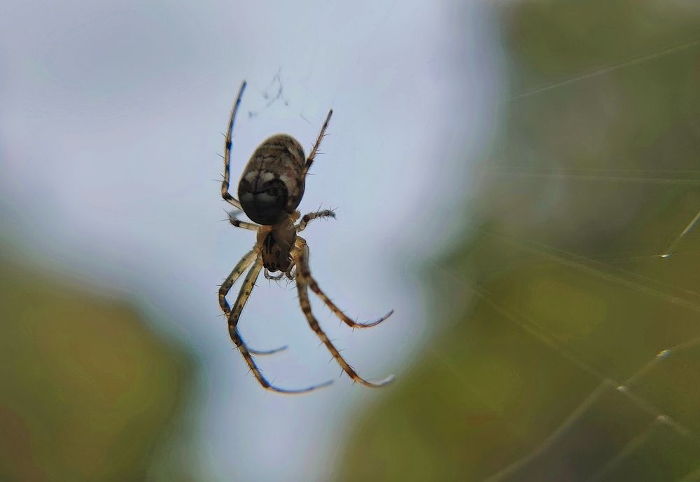 Photograph by Елена Верховская