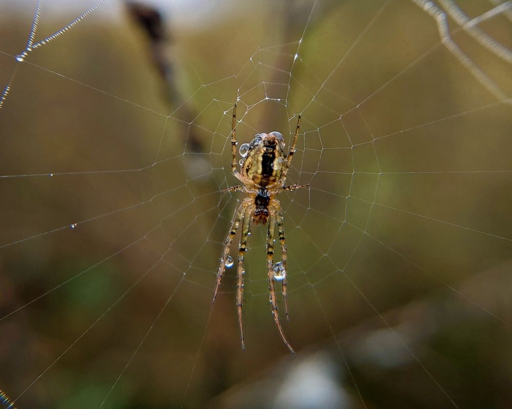 Photograph by Елена Верховская