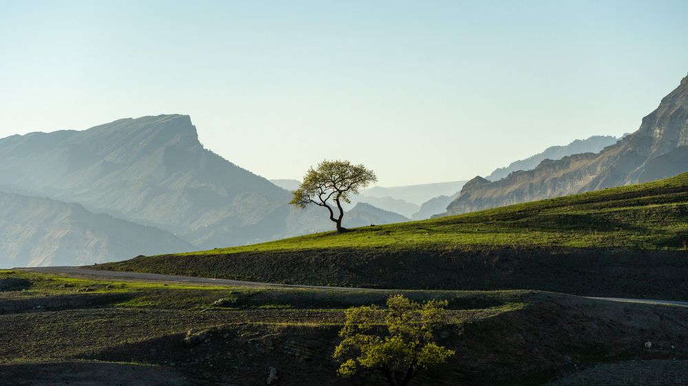 Photograph by Алексей Семин