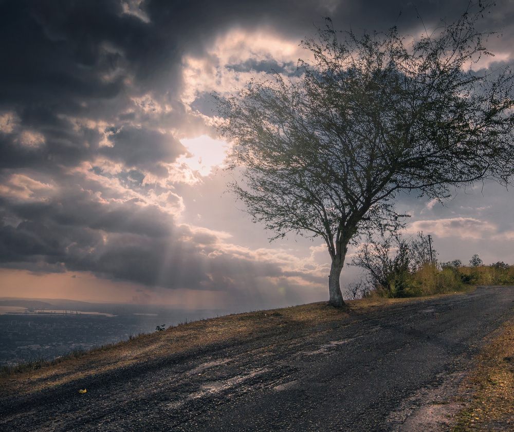 Photograph by David Hill