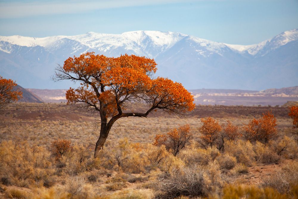 Фотография автора Andrey Shishkalov