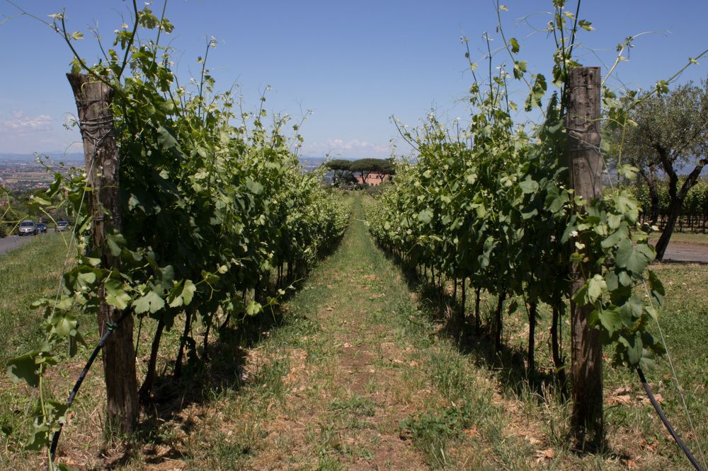 Photograph by DANIELA ROSSI