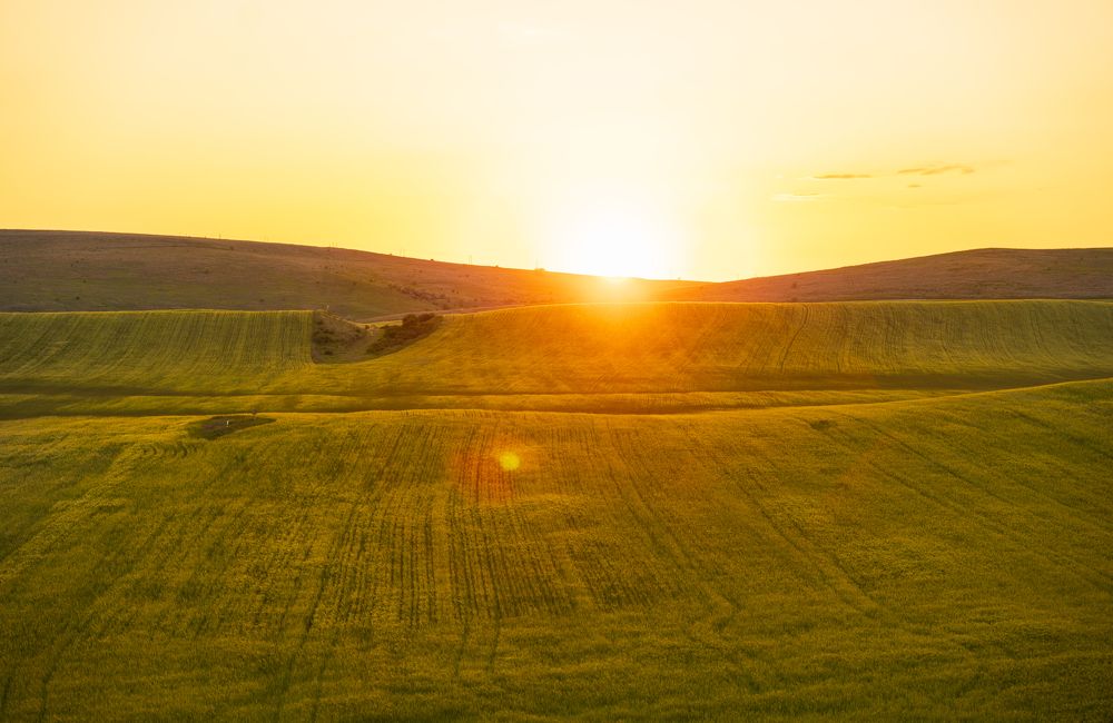 Photograph by Тишков Сергей