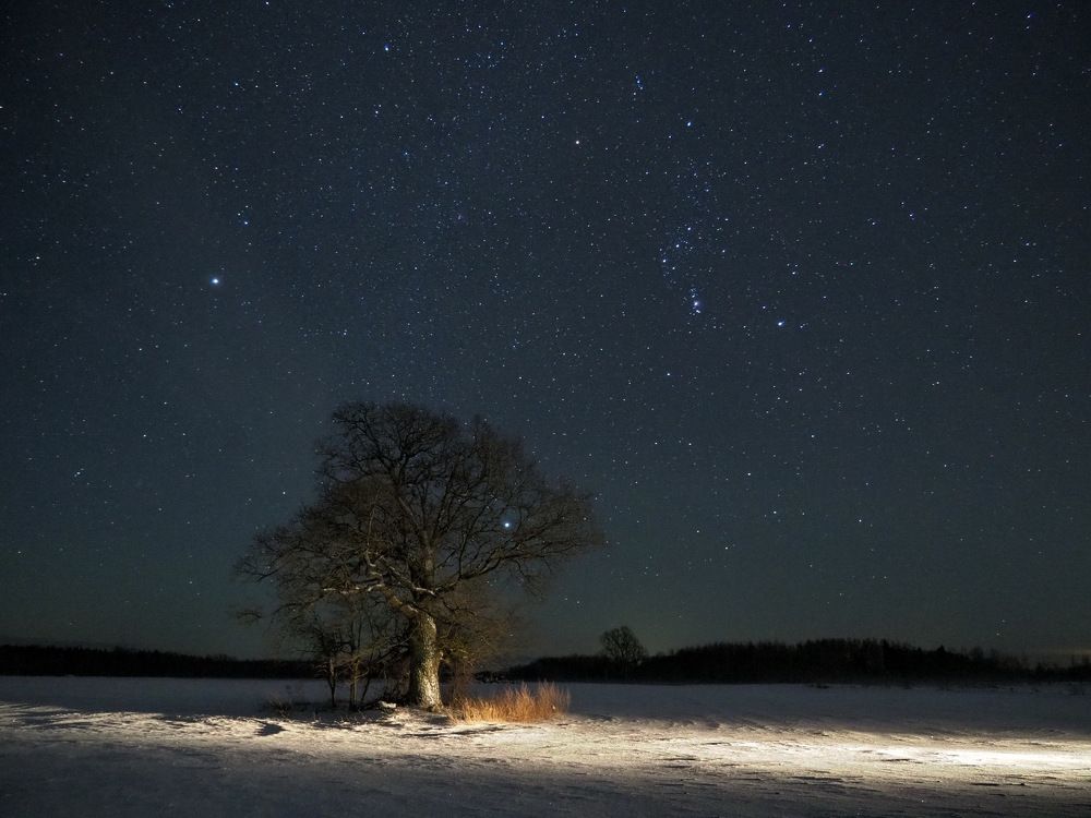 Photograph by Vitalijs Kopa