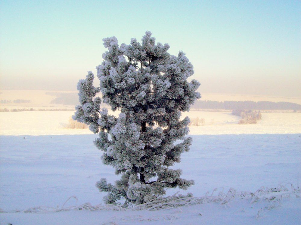 Photograph by Мигун Александра