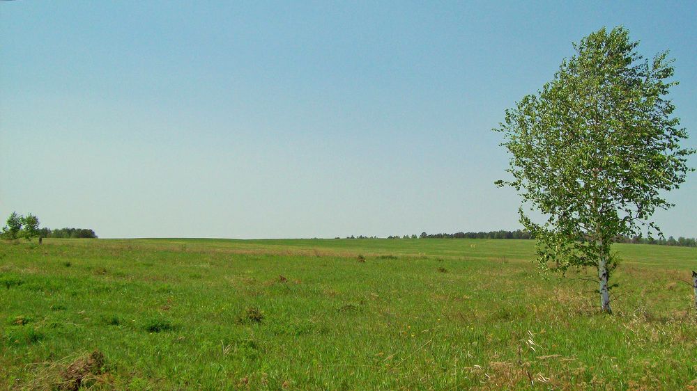 Photograph by Мигун Александра