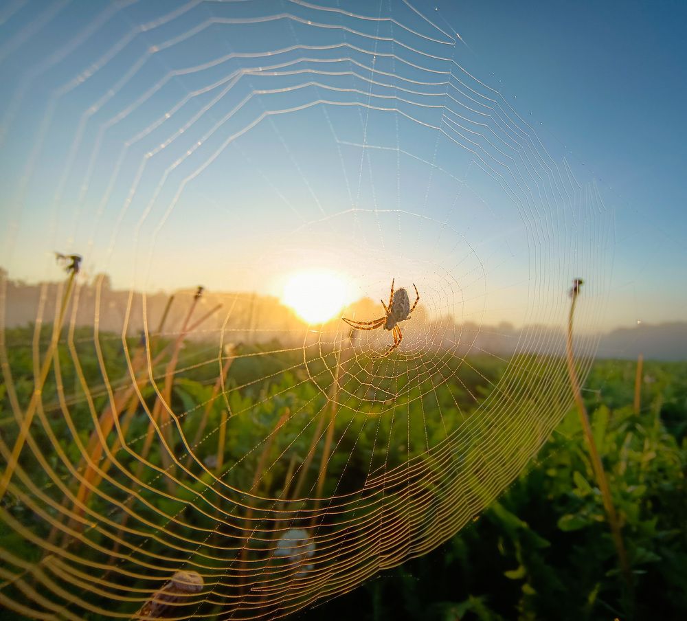 Photograph by Кондрашова Светлана