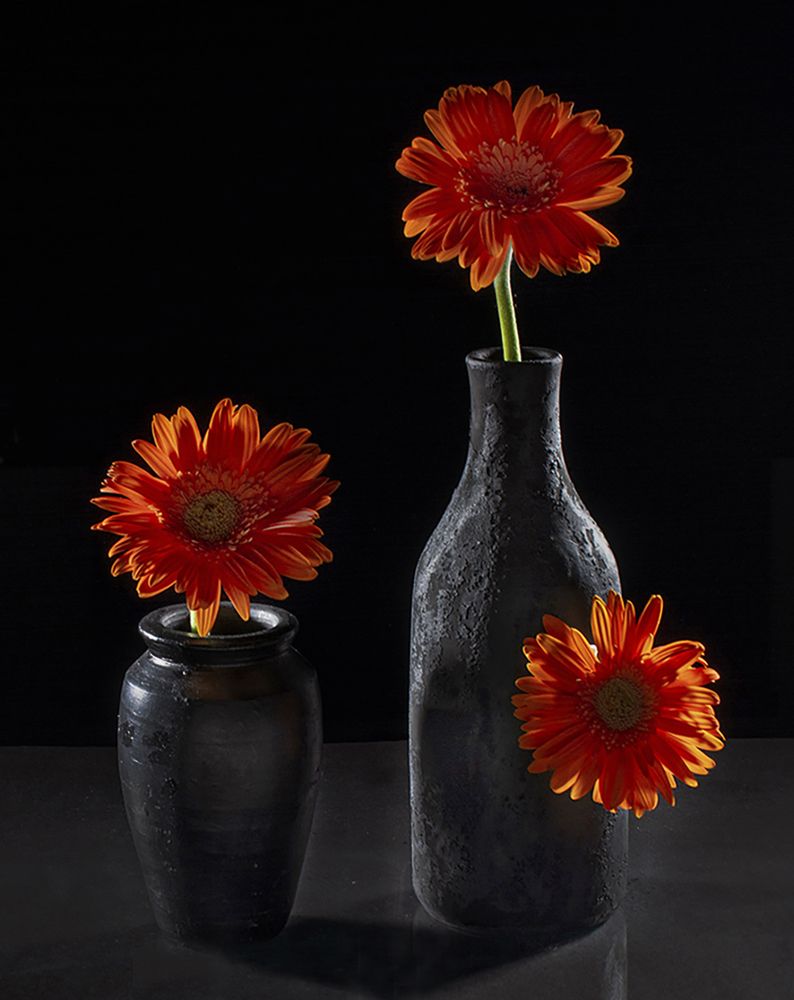 Фотография автора Nilanjan Saha