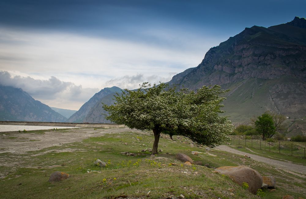 Фотография автора Оксана Белозерская