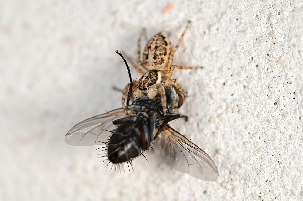 Photograph by Светлана Ивановна