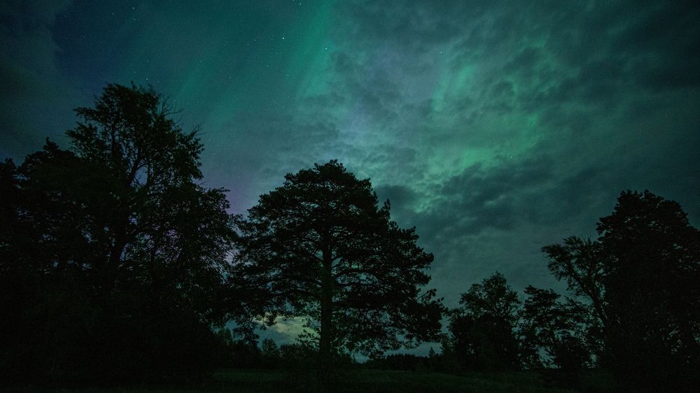 Photograph by Андрей Лизунов