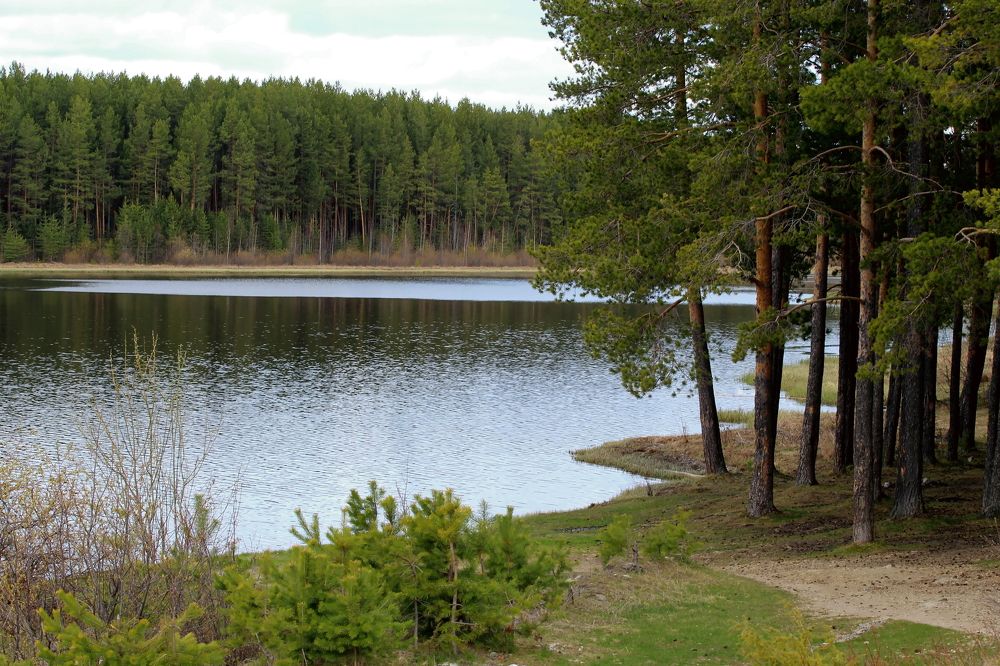 Photograph by Ирина Осипова