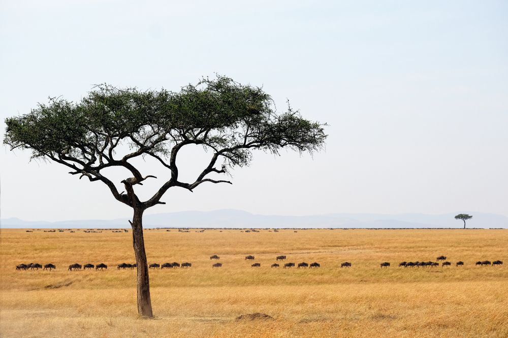 Photograph by Ирина Худзинская