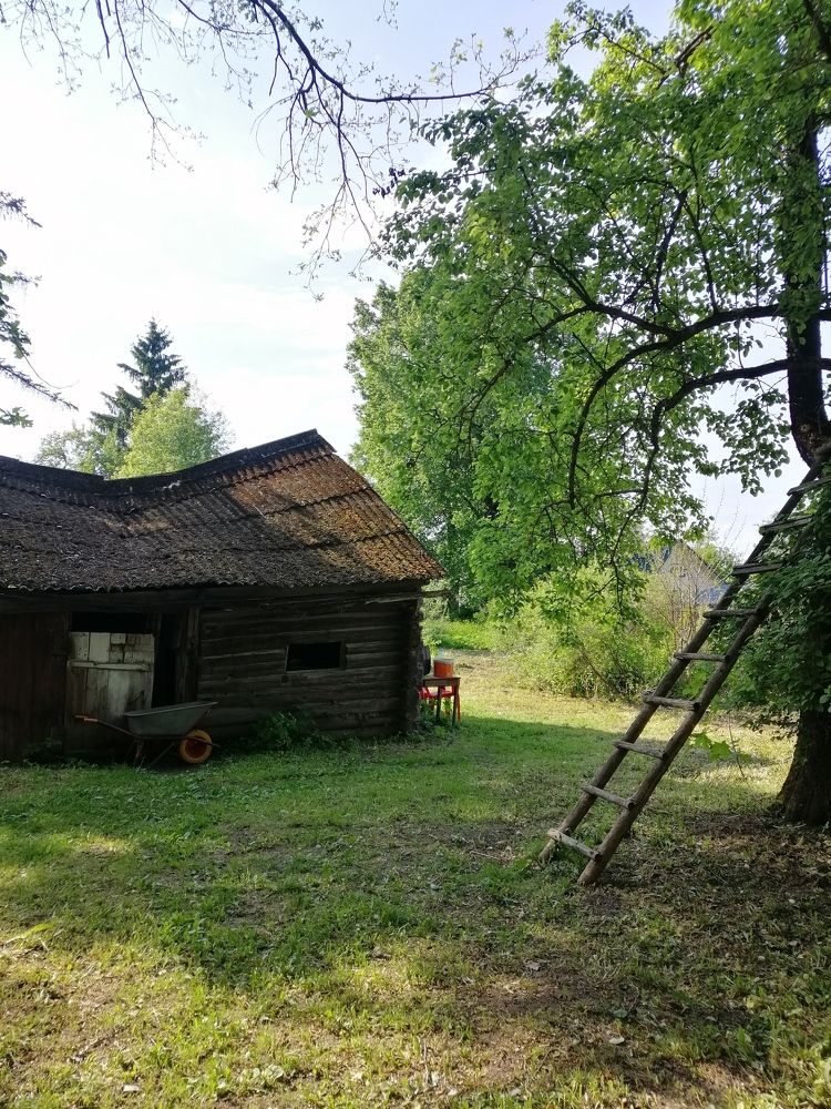 Photograph by Ольга Сапожникова