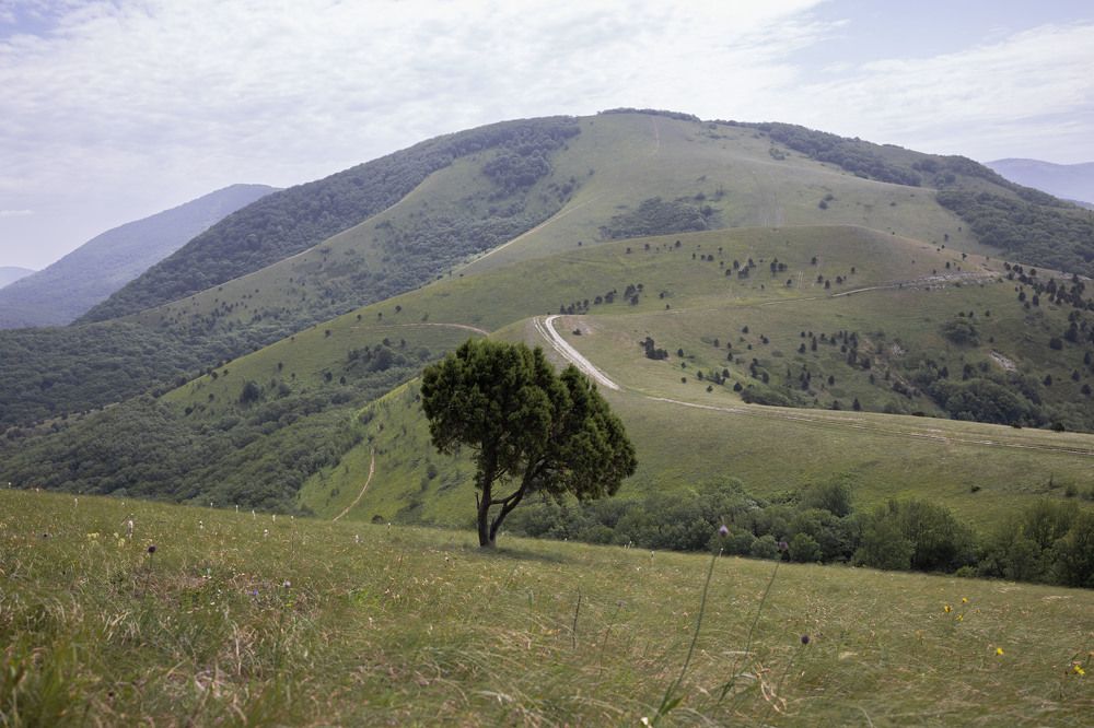 Photograph by Марина Иванова