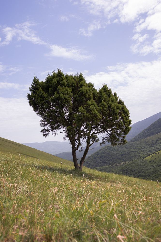 Photograph by Марина Иванова