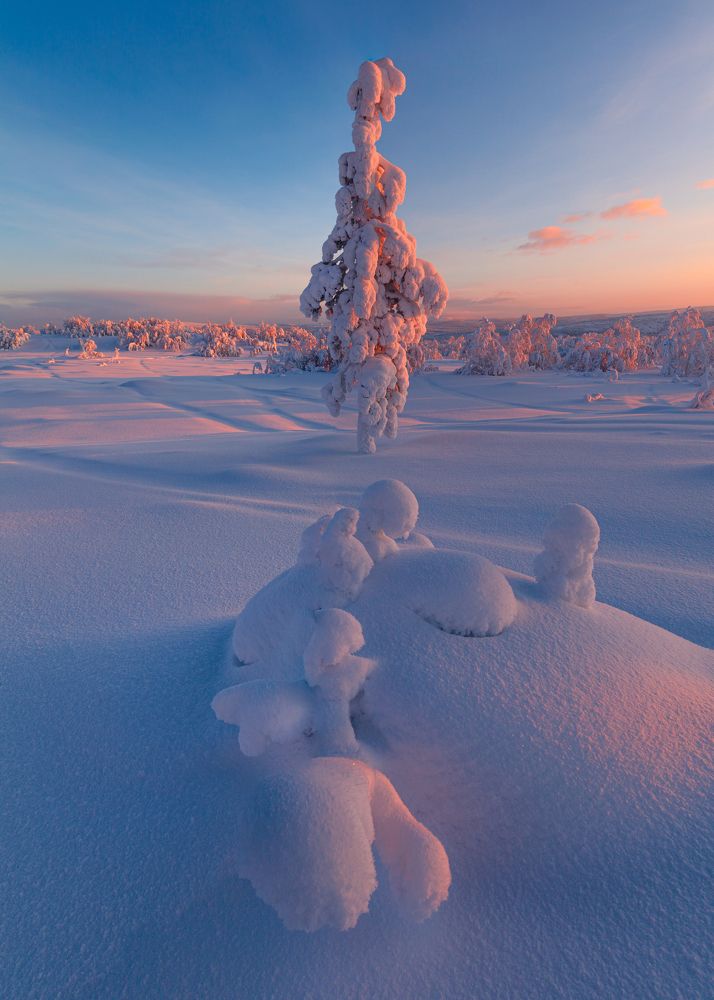 Фотография автора Егор Бушмакин