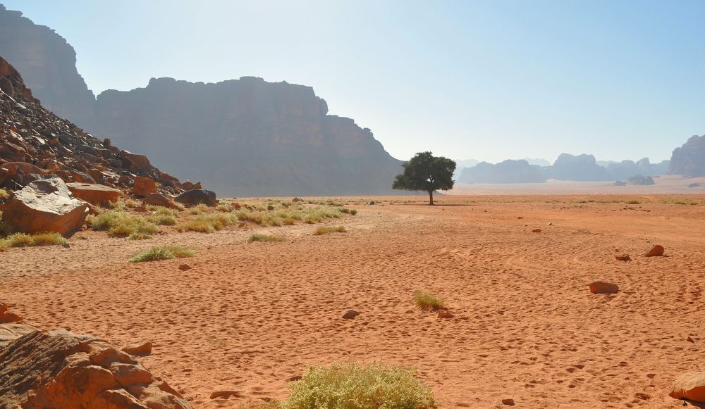 В пустыне Вади Рам