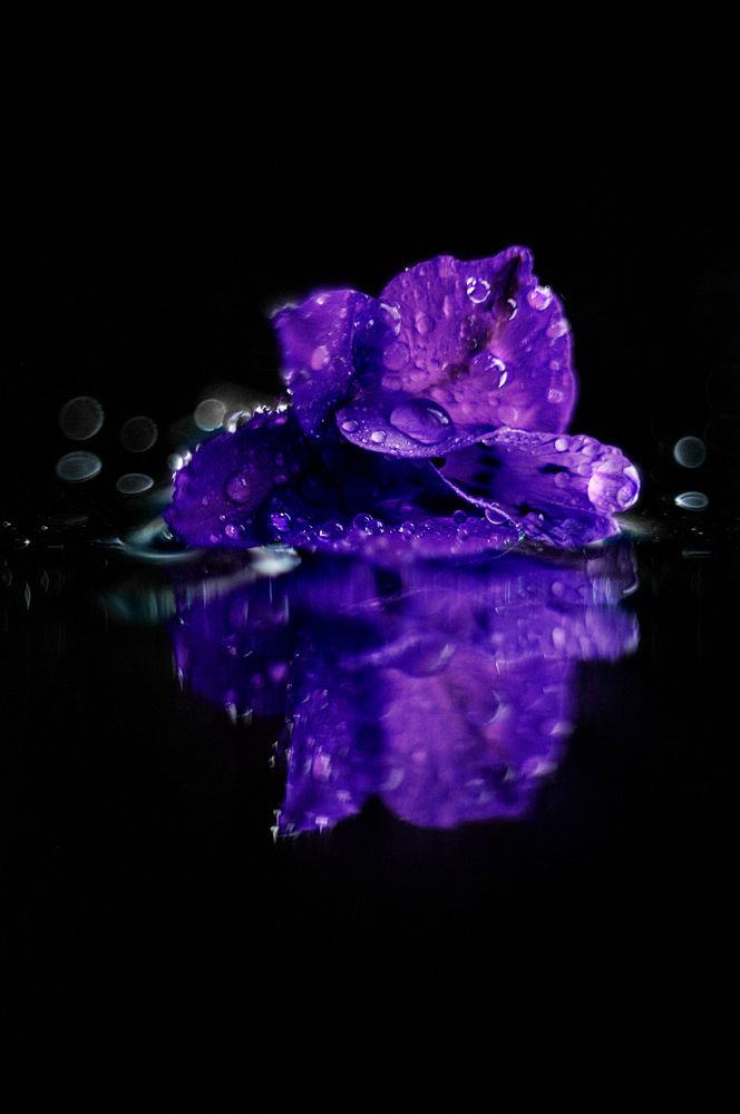 Photograph by Снежана Жвирбля