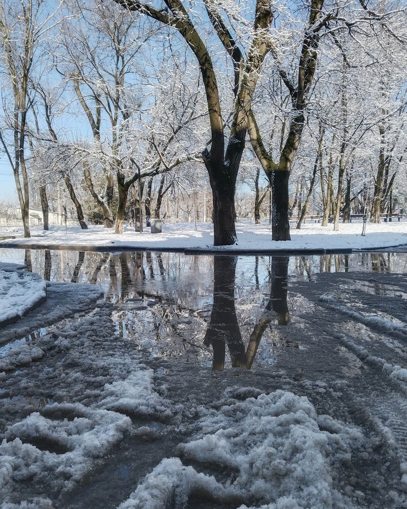 Photograph by Снежана Жвирбля