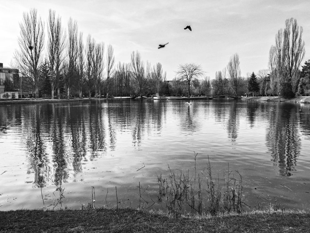 Photograph by Снежана Жвирбля