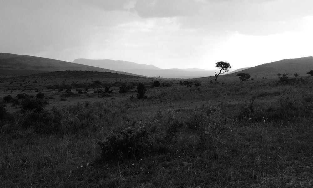 Photograph by Сергей Сережников