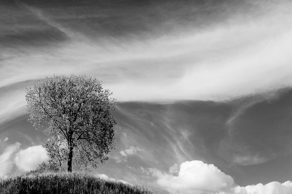 Photograph by Сергей Сережников